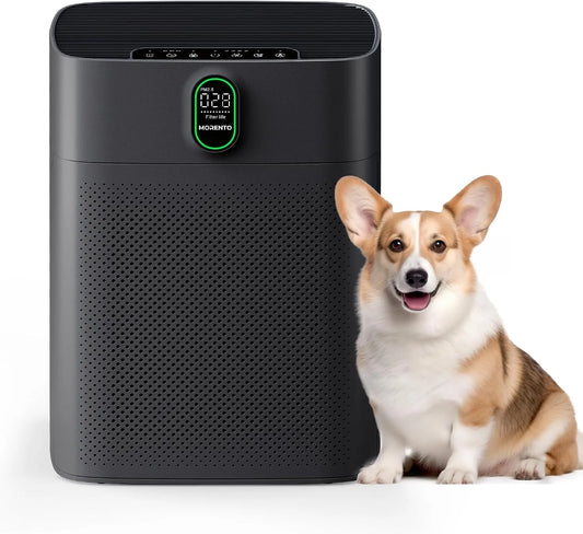 Luftreiniger MORENTO, 24 dB, große Räume bis zu 1076 m² mit PM 2,5 Display, 1 Stück, für Zuhause, Luftqualitätssensor, in Schwarz